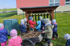 IMG_20230425_102253