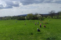 IMG_20230427_100340