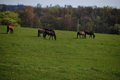 IMG-20260421-WA0002