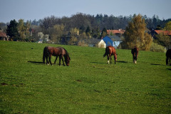 IMG-20260421-WA0003