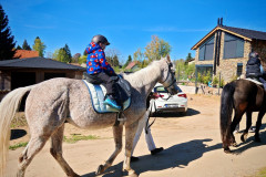 IMG-20260424-WA0025