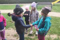IMG_20240410_114638