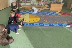 IMG_20240429_084225