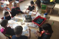 IMG_20240429_085259