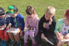 IMG_20240429_094501