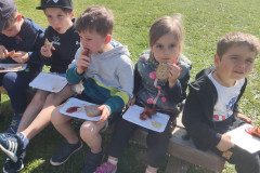 IMG_20240429_100201