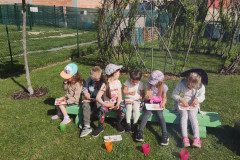IMG_20240429_100847