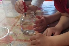 IMG_20230411_095135