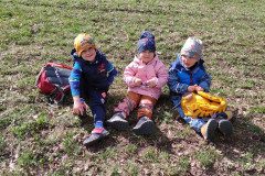 IMG_20240402_110045