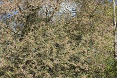IMG_20240402_194922
