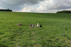 IMG_20240418_102604
