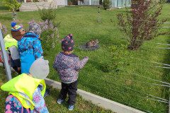 IMG_20240419_094649