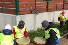 IMG_20240419_095342