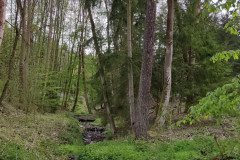 IMG_20240422_100814