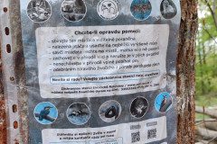 IMG_20240422_105532
