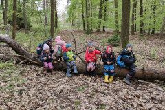 IMG_20240422_110747