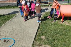 IMG_20240429_094209