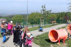 IMG_20240429_094449