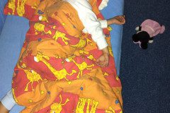 IMG_20231102_222648