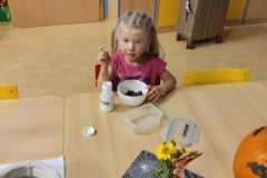 IMG_20231103_070528