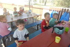 DSCN4557