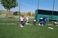 IMG_20250512_093338