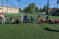 IMG_20250512_094244