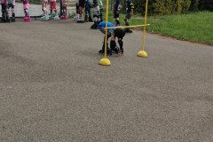 IMG-20240523-WA0024