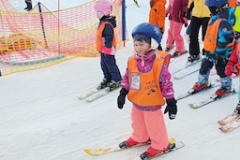 e3335e50-0cd3-492c-9df5-8ef7a93d84a5