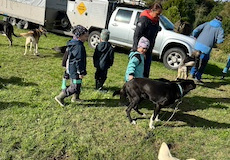 IMG-20260922-WA0035