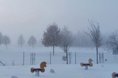 20221213_075626