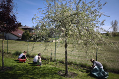 IMG_20260428_151539