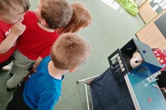 IMG_20250414_103449
