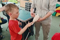 IMG_20250414_103534