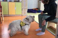 IMG_9153