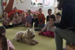 IMG_9163