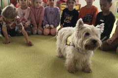 IMG_9168