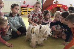 IMG_9175