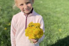IMG_7281