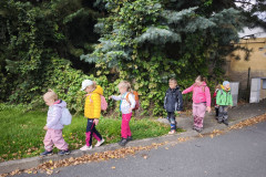 IMG_20250929_112721