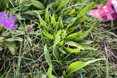 IMG_20250929_115130