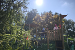 IMG_20251003_110903