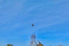 70a3c52e-f110-4d03-a91f-cd582c0af42d