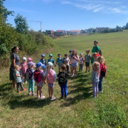 Ježečci - První polovina září