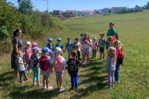 Ježečci - První polovina září