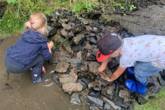 891df27b-9a3f-4f6d-a838-47de9aec0179