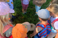 a4a382d2-b90f-4e0b-9192-50d9cc9943d3