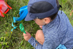 d24703a5-495b-48e6-b2cf-21b6bc1a53ff