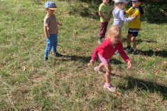 db562d37-a0cb-4601-9d5a-d3d7f949c312