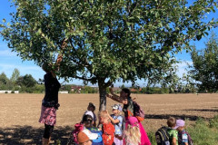 e0295c98-674e-4e1a-8bc9-45f1498d832b